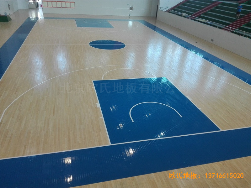 �������(y��ng)��ʮ���ЌW(xu��)�w���^�w��ľ�ذ���b����5
