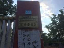 國標(biāo)體育籃球木地板施工