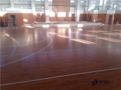 ���Ռ������_(t��i)�w��ľ�ذ�ʲô���Ӻ�