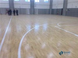 ���Ռ������_�w���\��ľ�ذ��Ă����Ӻ�